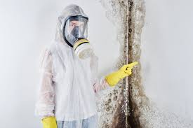 Best Environmental Consulting for Mold Prevention  in Immokalee, FL